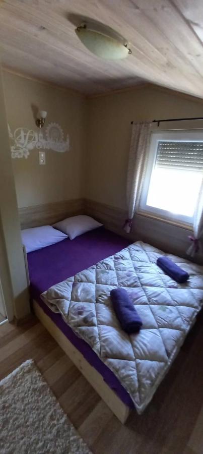 Levendula Vendeghaz Villa Hajdúnánás Екстериор снимка